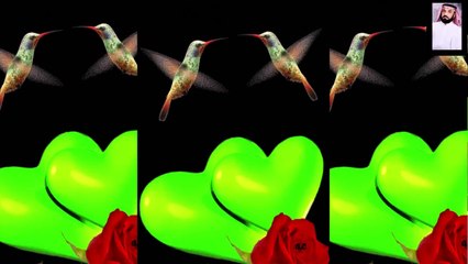 القرآن بصوت جميل وهادئ