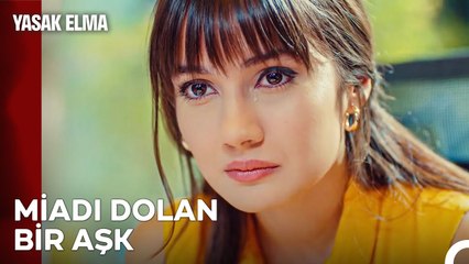 Bazı Aşklar Yarım Kalmalı - Yasak Elma 16. Bölüm