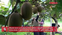Hobi için başlandı: Yıllık getirisi 100 milyon TL
