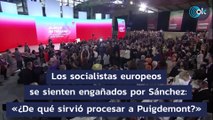 Los socialistas europeos se sienten engañados por Sánchez: «¿De qué sirvió procesar a Puigdemont?»
