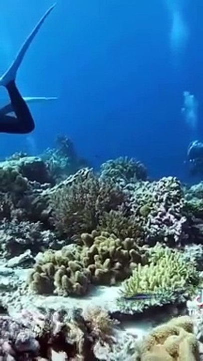 Dalgıçlar deniz dibindeyken depreme böyle yakalandı