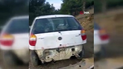 Aç ayı otomobilin camını kırıp içine girdi