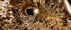 Açlık Oyunları: Kuşların ve Yılanların Şarkısı Altyazılı Fragman