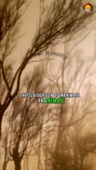 Quran surah Saba (34) verse 12