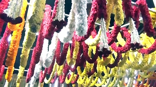 திருச்செந்தூரில் கலைகட்டிய கந்தசஷ்டி தொடக்க விழா; அதிகாலை முதல் பக்தர்கள் நீண்ட வரிசையில் நின்று வழிபாடு