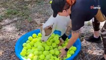 Un chien de refuge reçoit un don inattendu : les sauveteurs oscillent entre rires et larmes (vidéo)