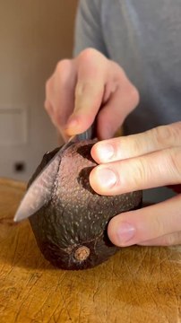 Quelle satisfaction de faire germer des graines, des noyaux, des pépins ! Avez-vous déjà essayé ? ‍