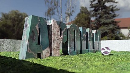 Apollo the American bulldog is looking for a new home