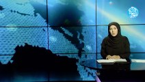 نشرة أخبار قناة اللؤلؤة |12-11-2023