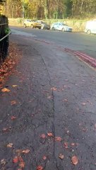 Emergency services called to reports of sudden death in Edinburgh