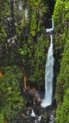  Les Açores, Portugal 