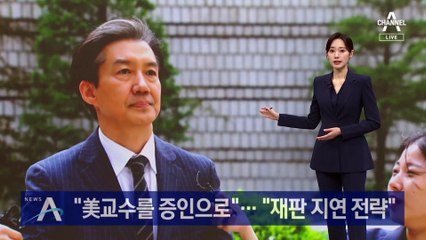 조국 측 “美교수를 증인으로”…검찰 “재판 지연 전략”
