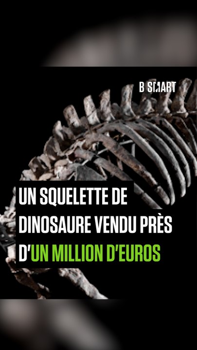 SMART SHORTS - Un squelette de dinosaure vendu près d’un million d’euros