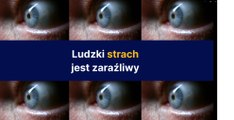 Ludzki strach jest zaraźliwy
