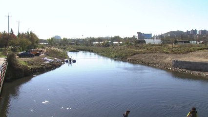 [인천] 악취 민원 빗발친 인천 승기천 수질개선사업 본격화 / YTN