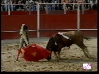 TARDE DE TOROS-HERMANOS JOSE Y JESUS DE NATALIA-CIGALES-19 07 98