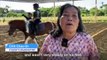Horse Stable in Taiwan Offers Equine Therapy for Children With Disabilities