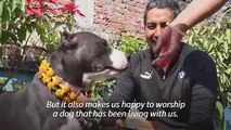 Nepal's pooches get pampered at Hindu dog festival