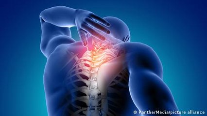 Back pain - is the spine poorly designed?