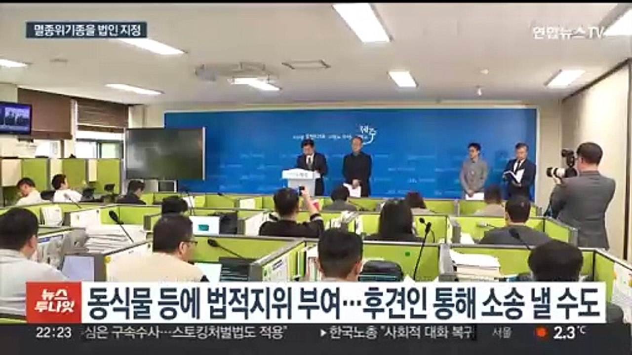 남방큰돌고래에 법적 권리를…제주도, 국내 첫 '생태법인' 추진