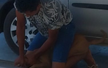 "É revoltante!", diz presidente de ONG após homem tentar matar cachorra por estrangulamento, em Sousa