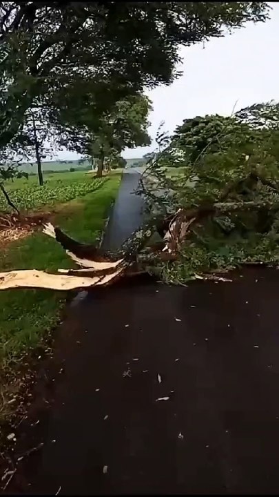 Temporal causa estragos em Quarto Centenário; 7 residências foram destelhadas
