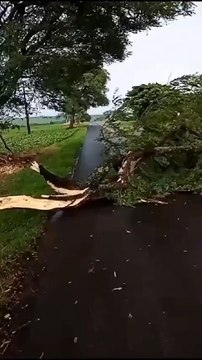 Temporal causa estragos em Quarto Centenário; 7 residências foram destelhadas