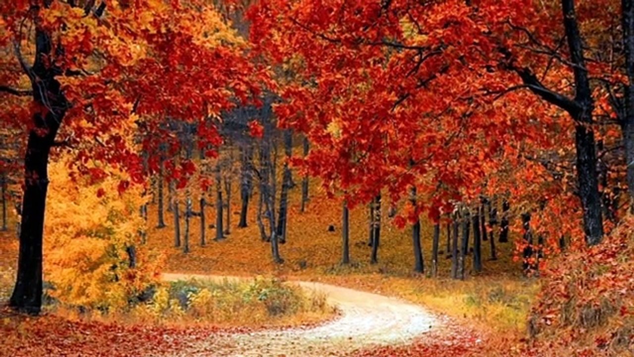 Massage Music Relaxation 1 hour, Massage Relaxing Music, Music Spa | Sparkle and Thrills