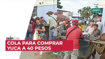 Cola para comprar yuca a 40 pesos