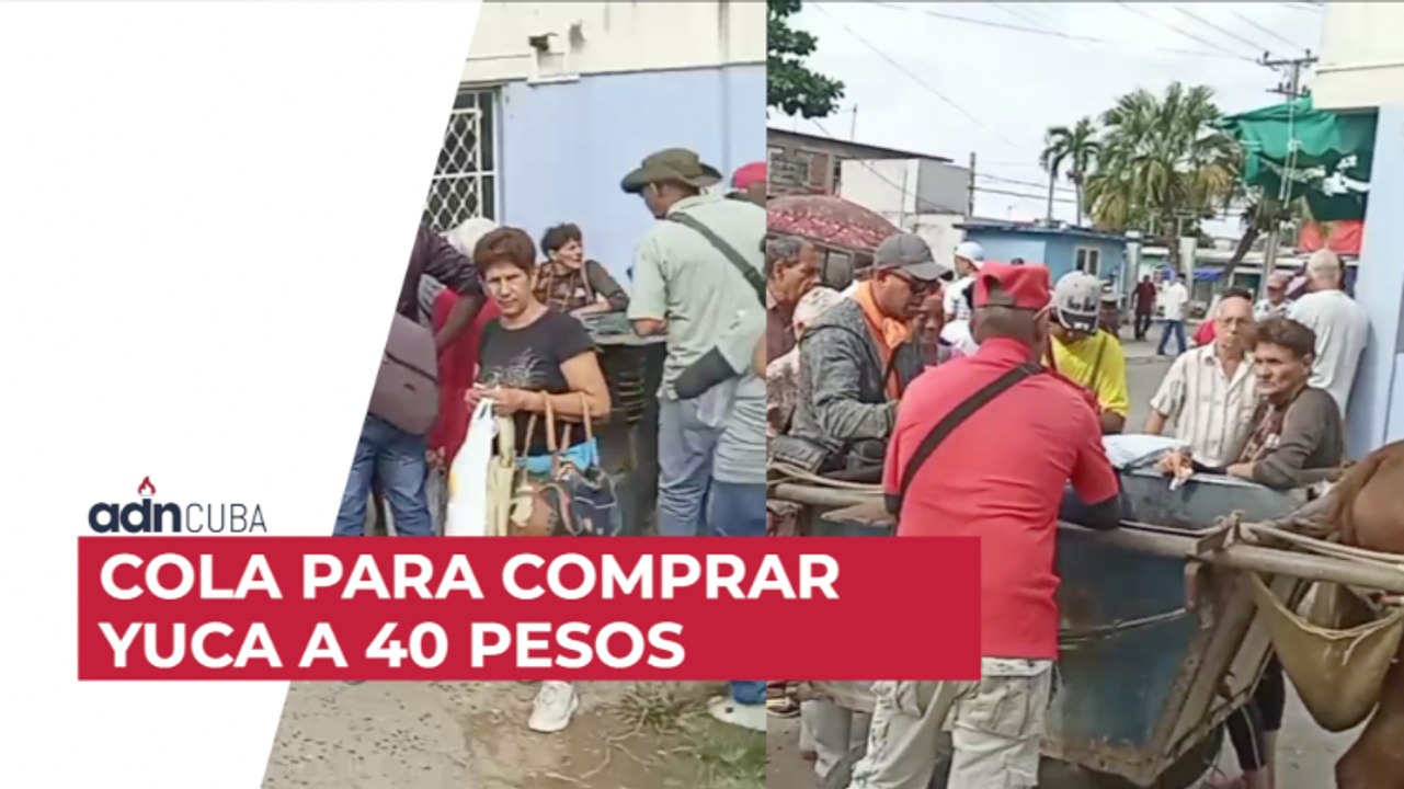 Cola para comprar yuca a 40 pesos