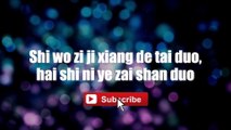 Di Yi Ci - Guang Liang #lyrics #lyricsvideo #singalong