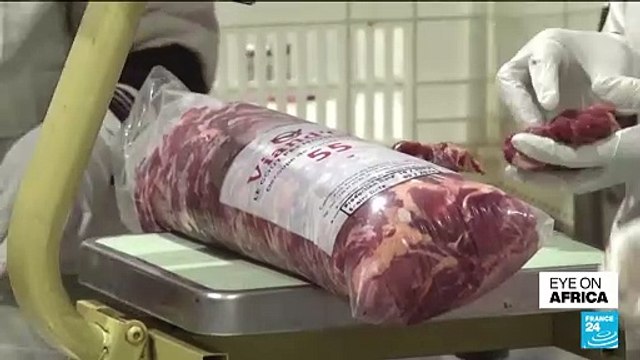 Chad strengthens meat exports amid regional shortages