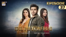 Dil Hi Tou Hai Episode 37 | 13 November 2023 | ARY Digital Drama