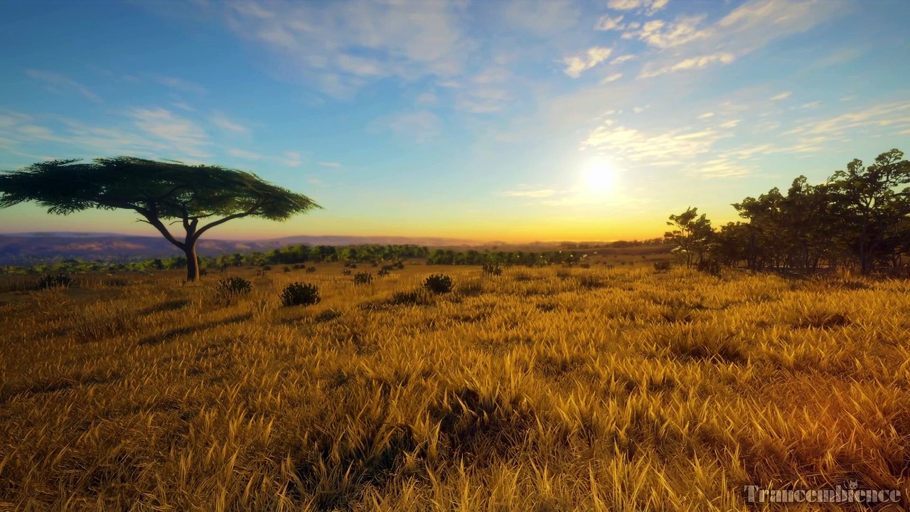 Savannah Sunset: Kalimba's Rhythm and Cricket Chorus