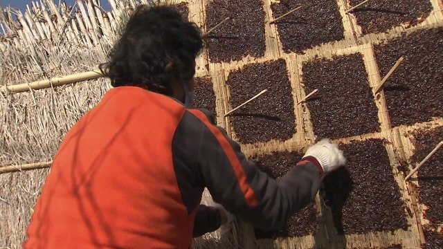 한국 '김' 수출 7억달러 첫 돌파...역대 최고 기록 / YTN