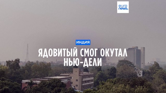 Ядовитый смог окутал Нью-Дели