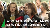 Abogados y procuradores de Cataluña critican la Ley de Amnistía: 