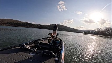 Dog Jumps In After Fish