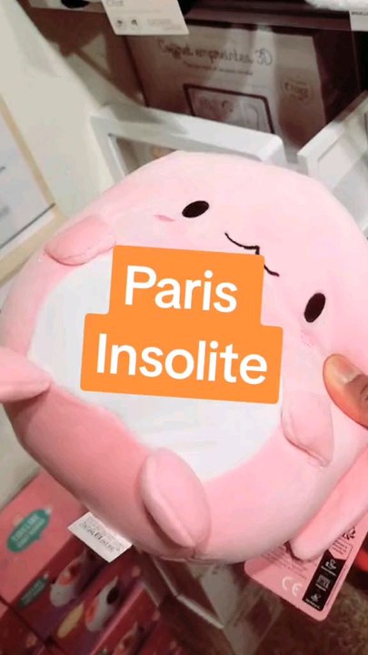 On découvre des objets insolites