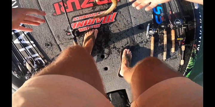 Dog Jumps In After Fish