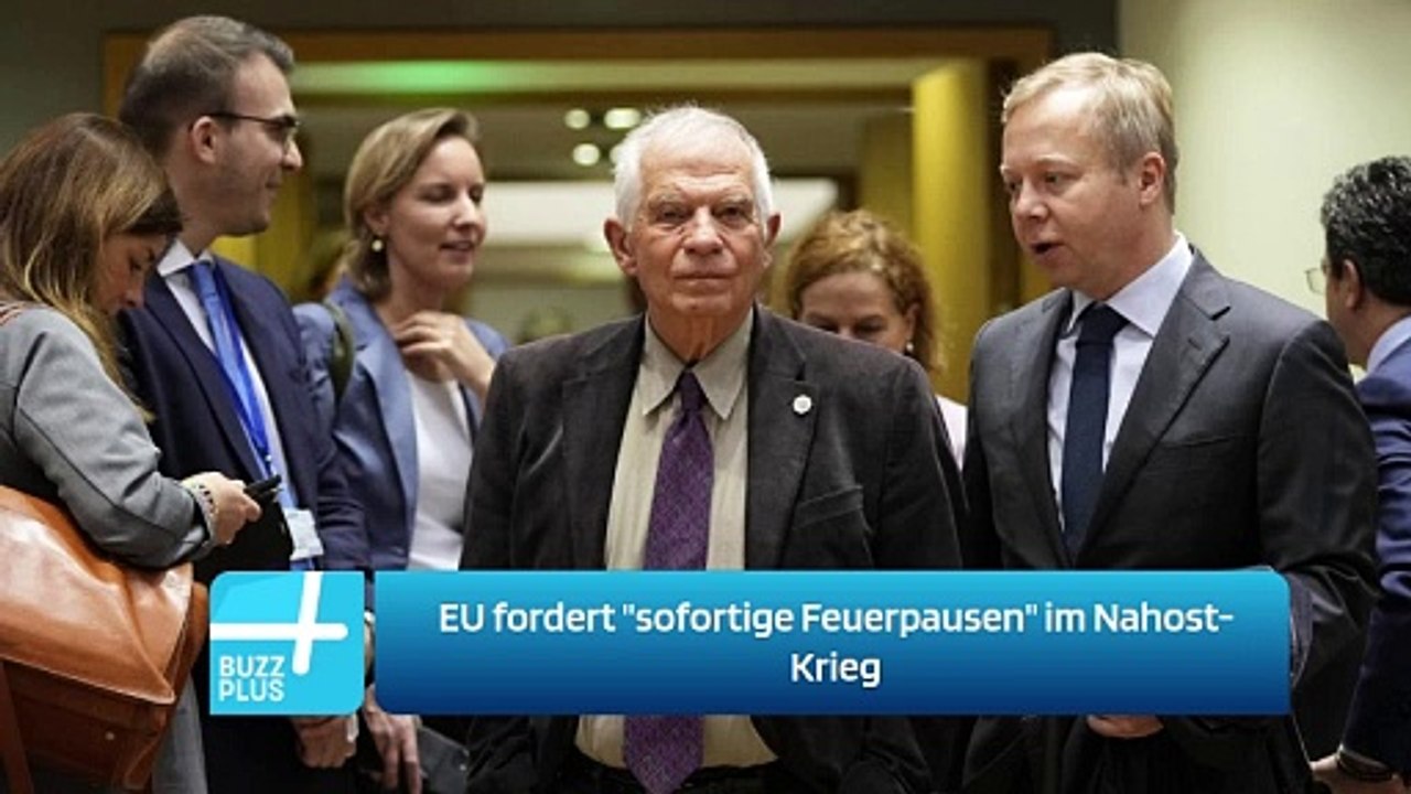 EU fordert 'sofortige Feuerpausen' im Nahost-Krieg