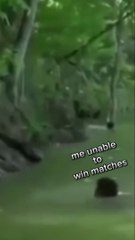 Why you learn new chess gambits