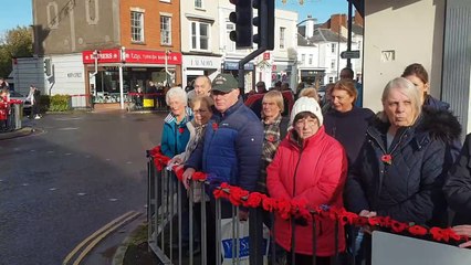 Wellington civic parade and two-minute silence on Armistice Day.