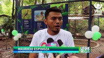Itzae y su familia, maravillas de la naturaleza en el Zoológico Thomas Belt, en Juigalpa