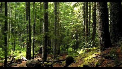 Alone With You - Land of Fire. Relaxing music