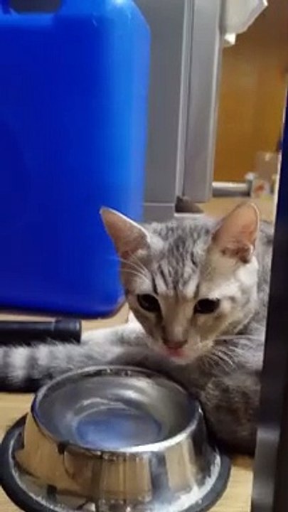 Getting Hydrated With Style