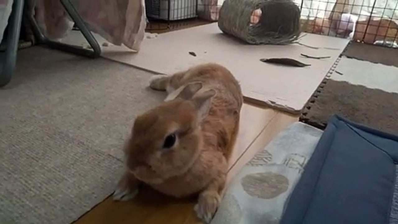 Reunited And It Feels So Good | Andi Avalon - video Dailymotion