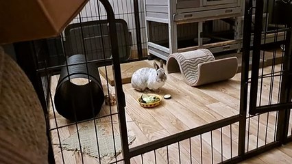 The Peripheral - Ellie Luna, Zazie Skymm