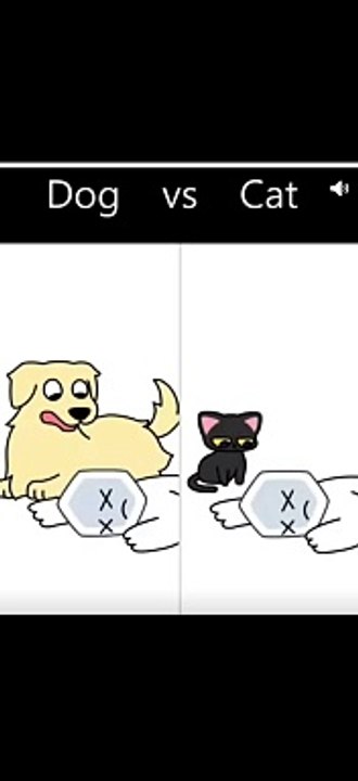 Men's bestfriend dog Vs cat