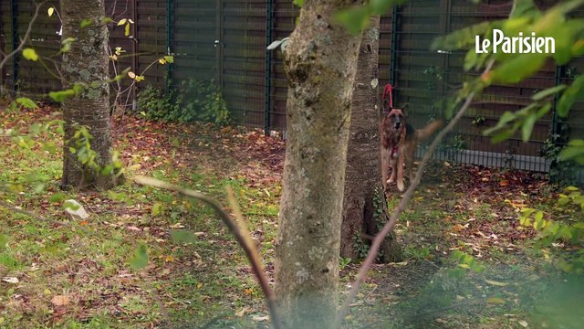 « On avait des courgettes gratuitement » :64 jardins familiaux détruits à Fleury-Mérogis,